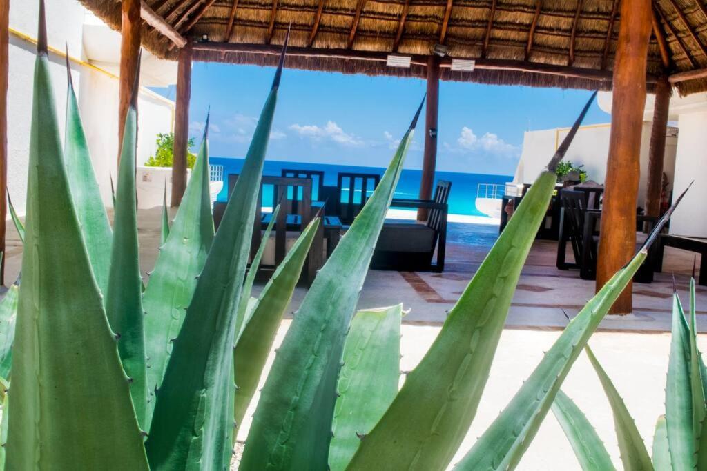 Ocean View Apartment, Best Beach Area, 3 Bedrooms Cancún Exterior foto